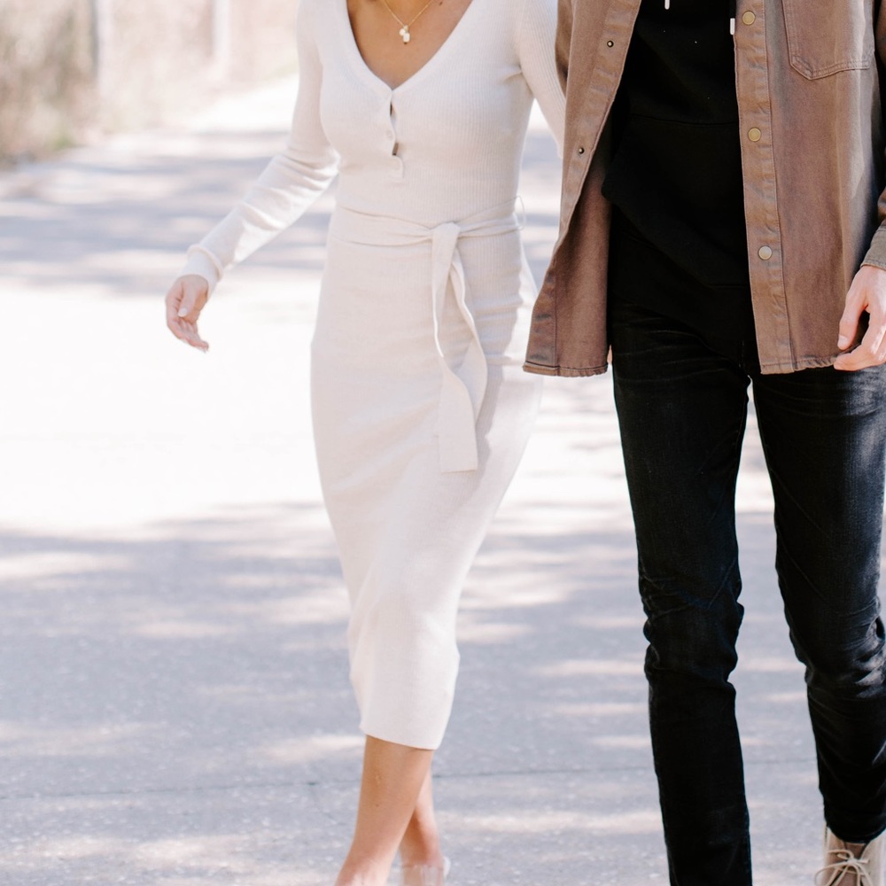 Aritzia Babaton Sweater Dress